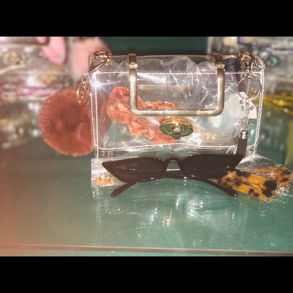 Transparent Purses - Picture 13 of 13